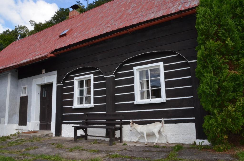 Penzion U kozy Chřibská Exterior foto