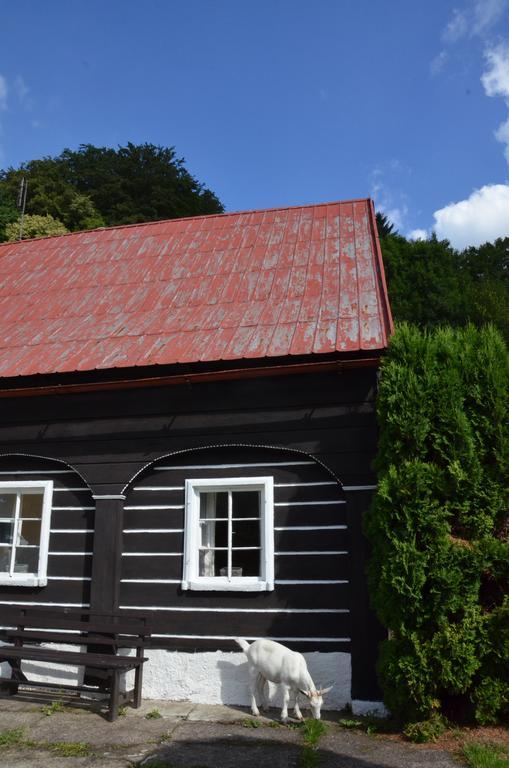 Penzion U kozy Chřibská Exterior foto