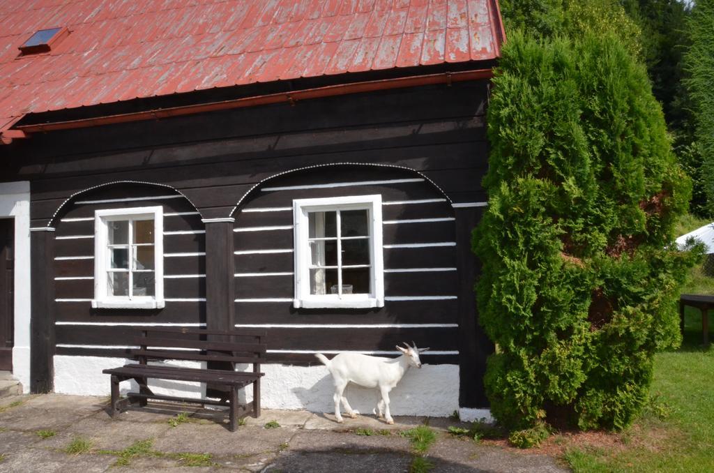 Penzion U kozy Chřibská Exterior foto